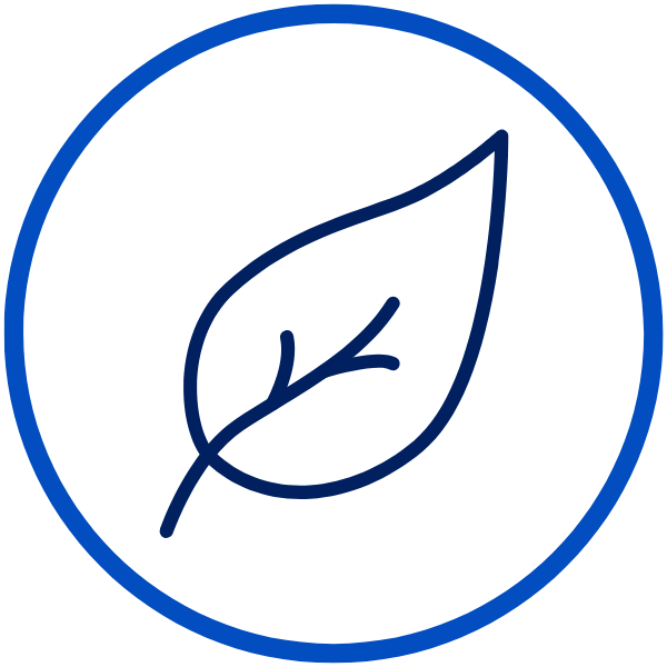 Icon BlattinKreis